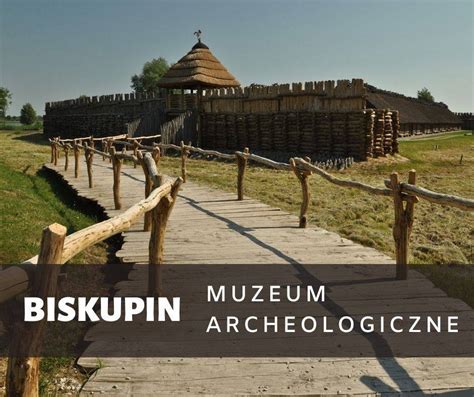 biskupin bilety|Muzeum w Biskupinie